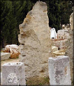 Piedras ornamentales para el jardín